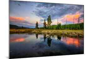 Riverside Sunset Reflections, Gibbon River, Yellowstone National Park-Vincent James-Mounted Photographic Print