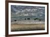 Riverton Rocks-Nathan Secker-Framed Giclee Print