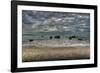 Riverton Rocks-Nathan Secker-Framed Giclee Print