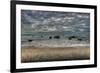 Riverton Rocks-Nathan Secker-Framed Giclee Print