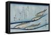 Rivertrout', from the Series 'Collection of Fish'-Utagawa Hiroshige-Framed Stretched Canvas