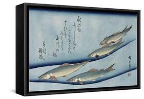 Rivertrout', from the Series 'Collection of Fish'-Utagawa Hiroshige-Framed Stretched Canvas