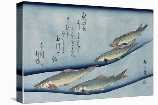 Rivertrout', from the Series 'Collection of Fish'-Utagawa Hiroshige-Stretched Canvas