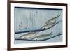 Rivertrout', from the Series 'Collection of Fish'-Utagawa Hiroshige-Framed Giclee Print