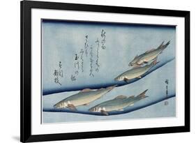 Rivertrout', from the Series 'Collection of Fish'-Utagawa Hiroshige-Framed Giclee Print