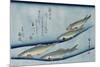 Rivertrout', from the Series 'Collection of Fish'-Utagawa Hiroshige-Mounted Giclee Print