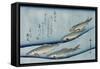 Rivertrout', from the Series 'Collection of Fish'-Ando Hiroshige-Framed Stretched Canvas