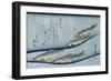 Rivertrout', from the Series 'Collection of Fish'-Ando Hiroshige-Framed Giclee Print