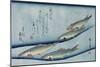 Rivertrout', from the Series 'Collection of Fish'-Ando Hiroshige-Mounted Giclee Print