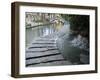 Riverwalk, San Antonio, Texas, USA-Ethel Davies-Framed Premium Photographic Print