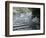 Riverwalk, San Antonio, Texas, USA-Ethel Davies-Framed Photographic Print