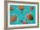 Riviera Maya Turtles Photomount on Caribbean Turquoise Waters of Mayan Mexico-holbox-Framed Photographic Print