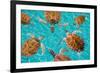 Riviera Maya Turtles Photomount on Caribbean Turquoise Waters of Mayan Mexico-holbox-Framed Photographic Print