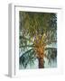 Riviera Palm-J Charles-Framed Art Print