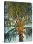 Riviera Palm-J Charles-Stretched Canvas