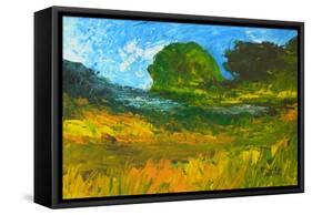 Riviere De Bainet, 2010-Patricia Brintle-Framed Stretched Canvas