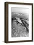 RMS Queen Elizabeth II in New York Harbour-null-Framed Photographic Print