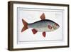 Roach-Andreas-ludwig Kruger-Framed Giclee Print