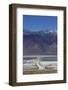 Road across Owens Lake and Sierra Nevada Mountains, California-David Wall-Framed Photographic Print