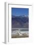 Road across Owens Lake and Sierra Nevada Mountains, California-David Wall-Framed Photographic Print