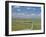 Road Across Prairie Wheatlands, South of Calgary, Alberta, Canada-Anthony Waltham-Framed Photographic Print