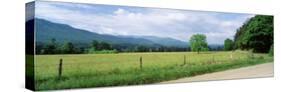 Road Along a Grass Field, Cades Cove, Great Smoky Mountains National Park, Tennessee, USA-null-Stretched Canvas