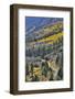 Road along Crystal River taken from just below McClure Pass, Colorado-Darrell Gulin-Framed Photographic Print