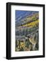 Road along Crystal River taken from just below McClure Pass, Colorado-Darrell Gulin-Framed Photographic Print