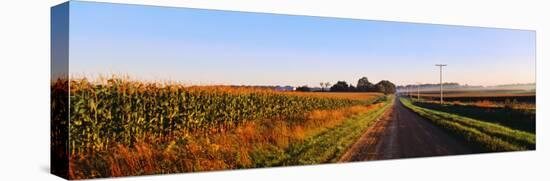 Road Along Rural Cornfield, Illinois, USA-null-Stretched Canvas