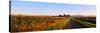 Road Along Rural Cornfield, Illinois, USA-null-Stretched Canvas