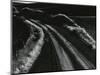 Road and Field, Oregon, 1971-Brett Weston-Mounted Photographic Print