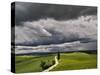 Road and Storm Clouds, Tuscany region, Itay-Adam Jones-Stretched Canvas