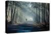 Road and Sunbeams in Strong Fog in the Forest, Poland.-Curioso Travel Photography-Stretched Canvas