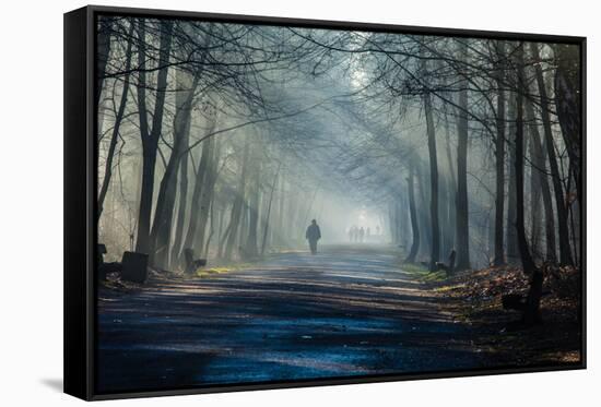 Road and Sunbeams in Strong Fog in the Forest, Poland.-Curioso Travel Photography-Framed Stretched Canvas