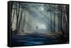 Road and Sunbeams in Strong Fog in the Forest, Poland.-Curioso Travel Photography-Framed Stretched Canvas