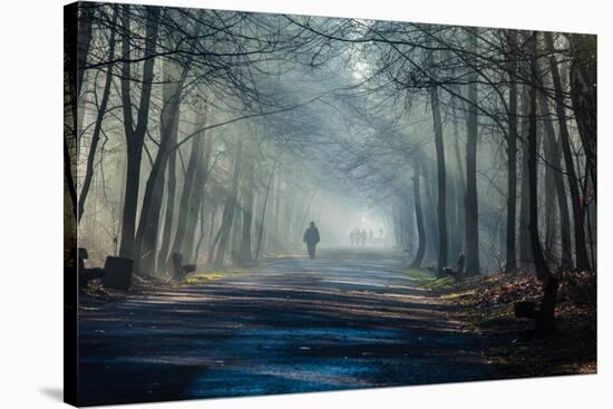 Road and Sunbeams in Strong Fog in the Forest, Poland.-Curioso Travel Photography-Stretched Canvas