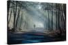 Road and Sunbeams in Strong Fog in the Forest, Poland.-Curioso Travel Photography-Stretched Canvas