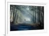 Road and Sunbeams in Strong Fog in the Forest, Poland.-Curioso Travel Photography-Framed Photographic Print