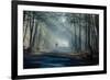 Road and Sunbeams in Strong Fog in the Forest, Poland.-Curioso Travel Photography-Framed Photographic Print