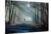 Road and Sunbeams in Strong Fog in the Forest, Poland.-Curioso Travel Photography-Mounted Photographic Print