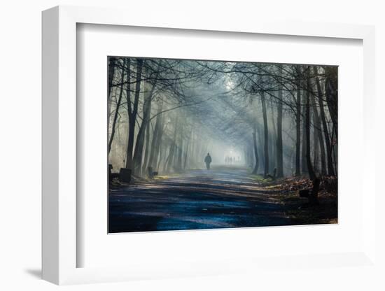 Road and Sunbeams in Strong Fog in the Forest, Poland.-Curioso Travel Photography-Framed Photographic Print