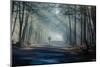 Road and Sunbeams in Strong Fog in the Forest, Poland.-Curioso Travel Photography-Mounted Photographic Print