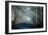 Road and Sunbeams in Strong Fog in the Forest, Poland.-Curioso Travel Photography-Framed Photographic Print