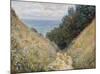 Road at La Cavée, Pourville, 1882-Claude Monet-Mounted Art Print