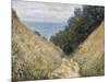 Road at La Cavee, Pourville, 1882-Claude Monet-Mounted Premium Giclee Print