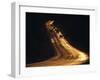 Road at Sunset, New Mexico, USA-Walter Bibikow-Framed Premium Photographic Print