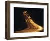 Road at Sunset, New Mexico, USA-Walter Bibikow-Framed Photographic Print