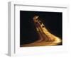 Road at Sunset, New Mexico, USA-Walter Bibikow-Framed Photographic Print