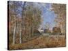 Road at the Forest Fringe (Forest of Fontainebleau Near Moret-Su-Loing), 1883-Alfred Sisley-Stretched Canvas