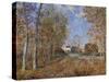 Road at the Forest Fringe (Forest of Fontainebleau Near Moret-Su-Loing), 1883-Alfred Sisley-Stretched Canvas